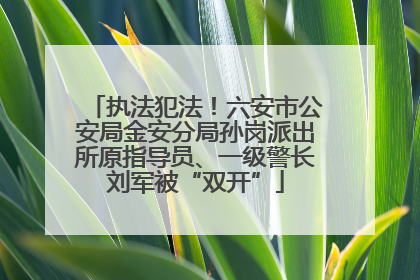 执法犯法！六安市公安局金安分局孙岗派出所原指导员、一级警长刘军被“双开”