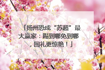 扬州恐成“苏超”最大赢家：踢到哪免到哪，回礼更惊艳！