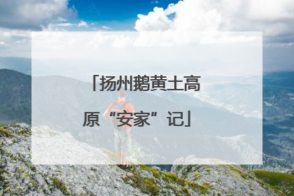扬州鹅黄土高原“安家”记
