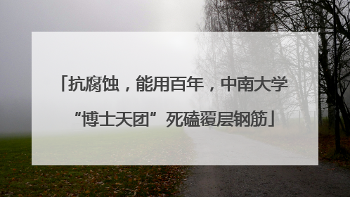 抗腐蚀，能用百年，中南大学“博士天团”死磕覆层钢筋