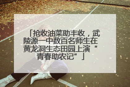 抢收油菜助丰收，武陵源一中数百名师生在黄龙洞生态田园上演“青春助农记”