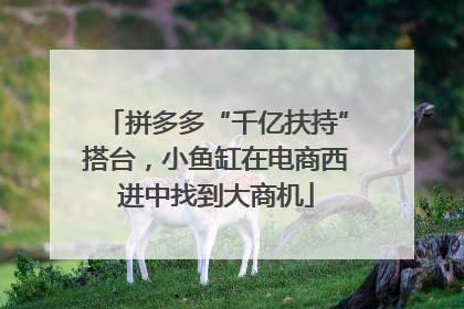 拼多多“千亿扶持”搭台，小鱼缸在电商西进中找到大商机