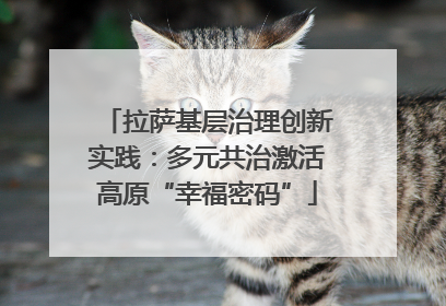 拉萨基层治理创新实践：多元共治激活高原“幸福密码”