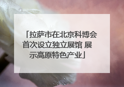 拉萨市在北京科博会首次设立独立展馆 展示高原特色产业