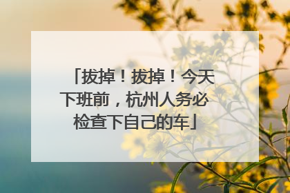拔掉！拔掉！今天下班前，杭州人务必检查下自己的车