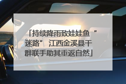 持续降雨致娃娃鱼“迷路” 江西金溪县干群联手助其重返自然
