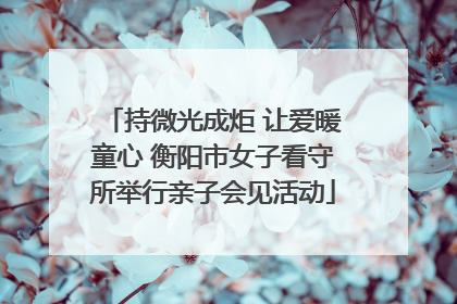 持微光成炬 让爱暖童心 衡阳市女子看守所举行亲子会见活动