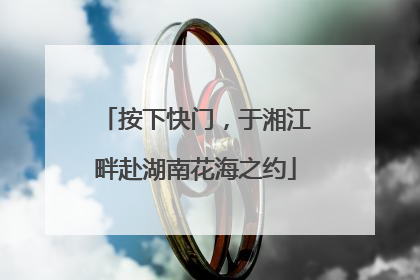 按下快门，于湘江畔赴湖南花海之约