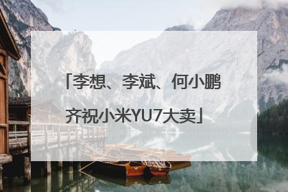 李想、李斌、何小鹏齐祝小米YU7大卖