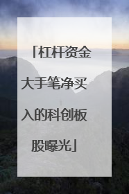 杠杆资金大手笔净买入的科创板股曝光