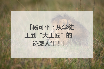 杨可平：从学徒工到“大工匠”的逆袭人生！