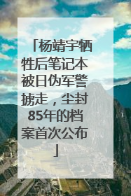 杨靖宇牺牲后笔记本被日伪军警掳走，尘封85年的档案首次公布
