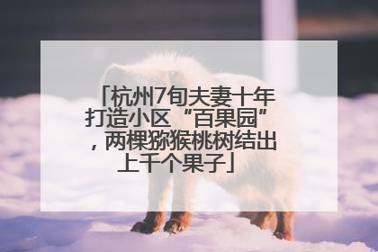 杭州7旬夫妻十年打造小区“百果园”，两棵猕猴桃树结出上千个果子