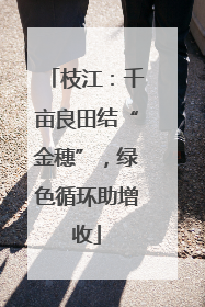 枝江：千亩良田结“金穗”，绿色循环助增收