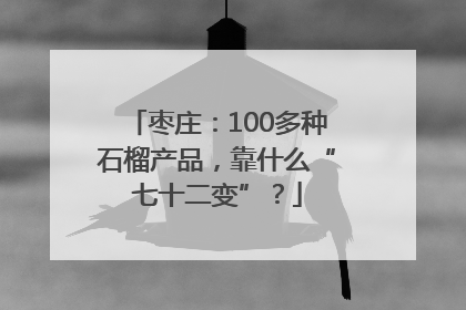 枣庄：100多种石榴产品，靠什么“七十二变”？