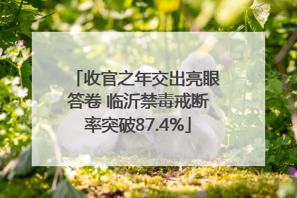 收官之年交出亮眼答卷 临沂禁毒戒断率突破87.4%