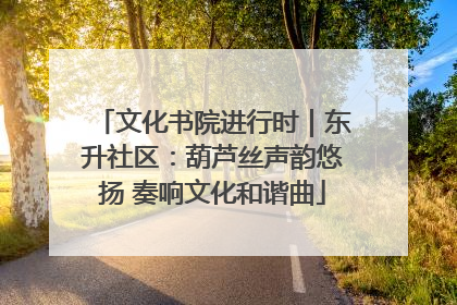 文化书院进行时｜东升社区：葫芦丝声韵悠扬 奏响文化和谐曲