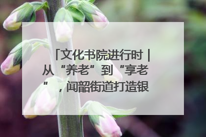 文化书院进行时｜从“养老”到“享老”，闻韶街道打造银龄幸福新图景