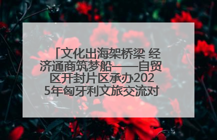 文化出海架桥梁 经济通商筑梦船——自贸区开封片区承办2025年匈牙利文旅交流对接活动专场