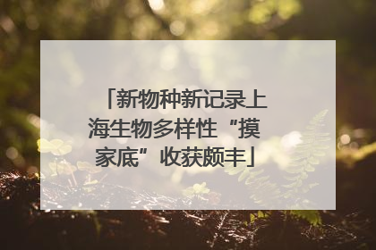 新物种新记录上海生物多样性“摸家底”收获颇丰