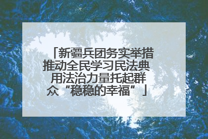 新疆兵团务实举措推动全民学习民法典 用法治力量托起群众“稳稳的幸福”