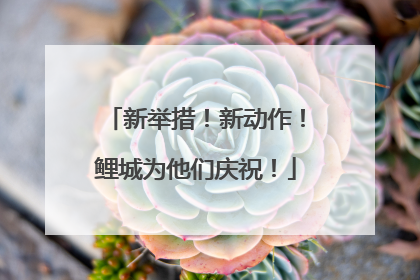 新举措！新动作！鲤城为他们庆祝！