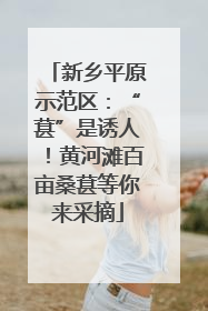 新乡平原示范区：“葚”是诱人！黄河滩百亩桑葚等你来采摘