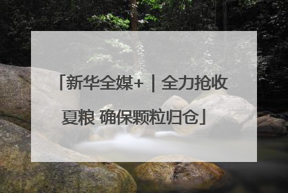 新华全媒+｜全力抢收夏粮 确保颗粒归仓