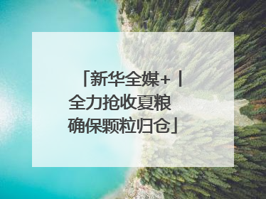 新华全媒+丨全力抢收夏粮 确保颗粒归仓