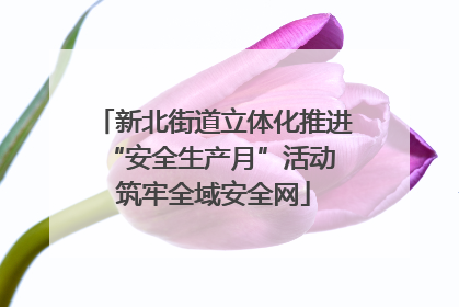 新北街道立体化推进“安全生产月”活动 筑牢全域安全网