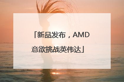 新品发布，AMD意欲挑战英伟达
