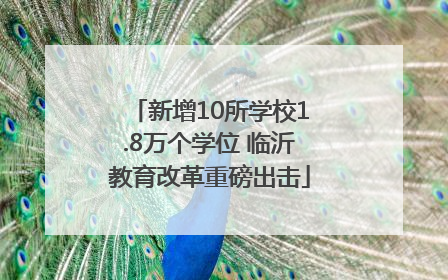 新增10所学校1.8万个学位 临沂教育改革重磅出击