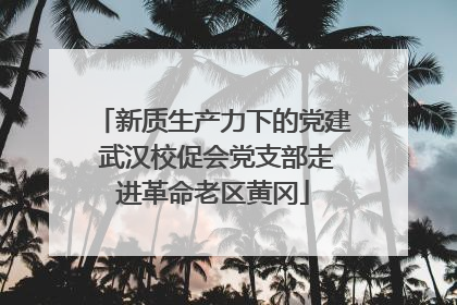 新质生产力下的党建 武汉校促会党支部走进革命老区黄冈