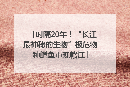 时隔20年！“长江最神秘的生物”极危物种鳤鱼重现赣江