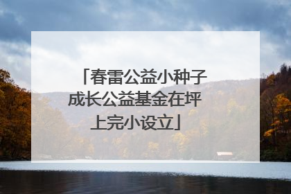 春雷公益小种子成长公益基金在坪上完小设立