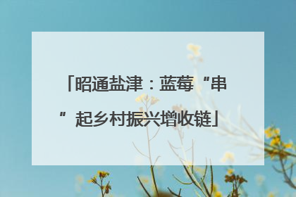 昭通盐津：蓝莓“串”起乡村振兴增收链