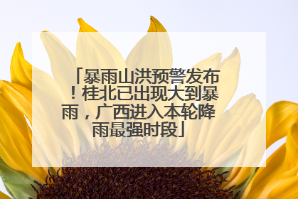 暴雨山洪预警发布！桂北已出现大到暴雨，广西进入本轮降雨最强时段