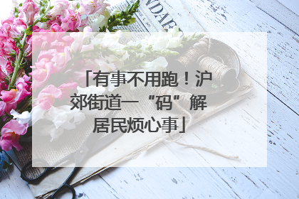 有事不用跑！沪郊街道一“码”解居民烦心事