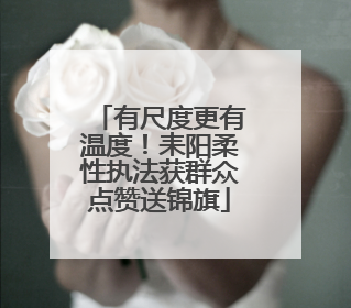 有尺度更有温度！耒阳柔性执法获群众点赞送锦旗