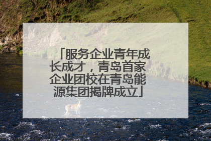 服务企业青年成长成才，青岛首家企业团校在青岛能源集团揭牌成立