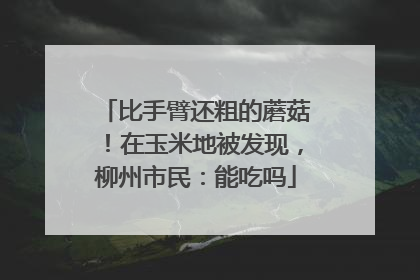 比手臂还粗的蘑菇！在玉米地被发现，柳州市民：能吃吗