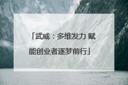 武威：多维发力 赋能创业者逐梦前行