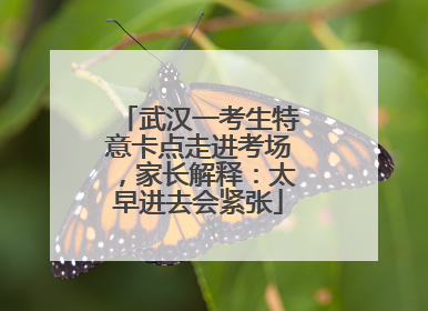 武汉一考生特意卡点走进考场，家长解释：太早进去会紧张