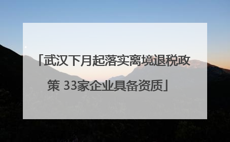 武汉下月起落实离境退税政策 33家企业具备资质
