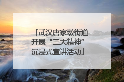 武汉唐家墩街道开展“三大精神”沉浸式宣讲活动
