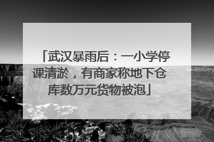 武汉暴雨后：一小学停课清淤，有商家称地下仓库数万元货物被泡