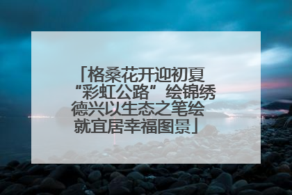 格桑花开迎初夏 “彩虹公路”绘锦绣 德兴以生态之笔绘就宜居幸福图景