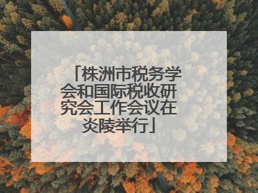 株洲市税务学会和国际税收研究会工作会议在炎陵举行