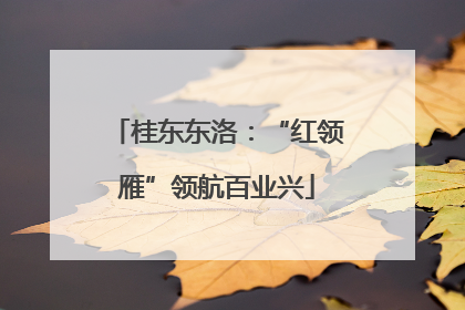 桂东东洛：“红领雁”领航百业兴