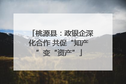 桃源县：政银企深化合作 共促“知产”变“资产”